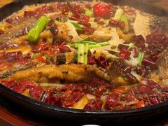 -老板恋上鱼(印象城店)