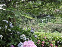 -鼓岭旅游度假区