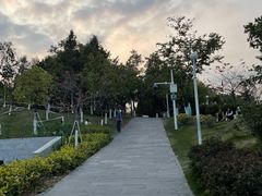 -回龙埔公园