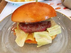 -Tapa Tapa
