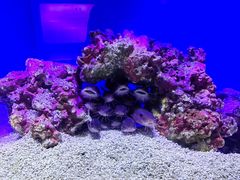 -上海海洋水族馆