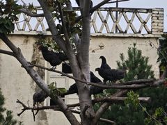 -沂州糁馆(大学城店)