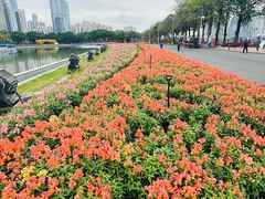 -海心沙亚运公园
