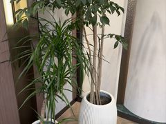 -七欣天香辣蟹火锅(苏州东大街店)