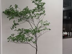 -双季花艺园艺市场(浦东店)