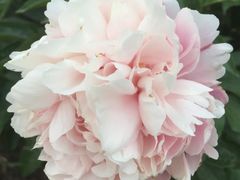 -长春公园(普阳街道)