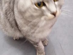 -佳雯宠物医院(金华南路分院)