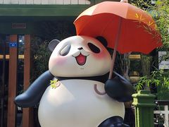 -轩客会(熊猫书店)