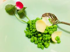-西郊5号·Maggie 5
