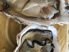 -老虎滩船说·海胆水饺·大连海鲜(老虎滩店)