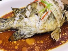 -粗茶淡饭•陕菜•家常菜