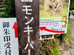 -岚山猴子公园