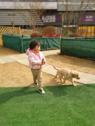 -萌宠亲子动物乐园(槐房万达店)