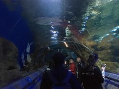 -大连圣亚海洋世界