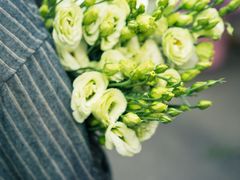 -循礼门鲜花花市(武汉循礼门店)