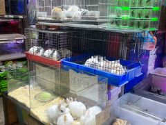 -双季花艺园艺市场(浦东店)
