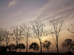 -铁山坪森林公园