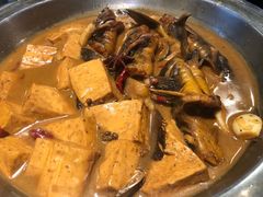 泥鳅烧豆腐-阿财老铺·老蚌埠龙虾城(华夏总店)