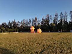 -前小桔亲子创意农场·草莓采摘·露营烧烤