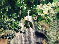 -南山植物园