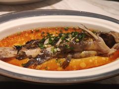 塘鲤鱼炖蛋-宴昆山·私房菜(春晖店)