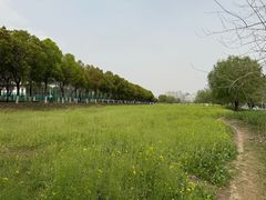 -汉江湾体育公园
