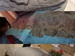 -白鹤梁水下博物馆