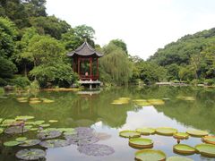 -云溪植物园