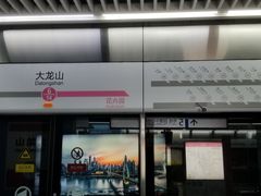 -大龙山(地铁站)