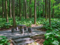 -洛阳白云山景区