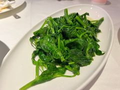 -渝信川菜(工体店)