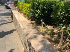 -天津君隆威斯汀酒店