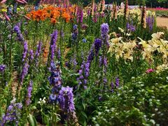 -人民公园(罗湖区)