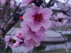 -公益图书馆(江南大学店)