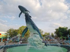 -海合安武汉极地海洋公园