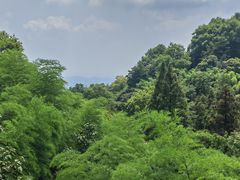 -莫干山风景区