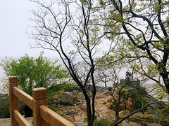 -平湖九龙山旅游度假区