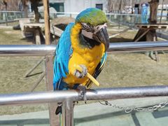 -水上乐园·欢乐世界