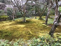 -西芳寺(苔寺)