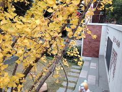 -大众茶馆·悠茶小驿(一中店)