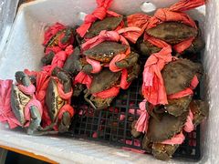 -秦记香辣蟹(松榆里店)