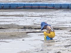 -营口金泰珑悦海景大酒店