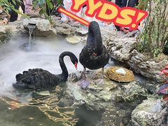 -遇见长安(赛格国际购物中心店)