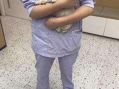 -瑞派康怡24h宠物医院·犬猫医疗中心·微创绝育(瑞景分院)