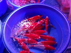-中环花鸟鱼虫市场