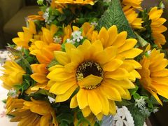 -招商银行(北京双榆树支行)