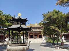 -席力图召