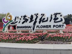 -上海鲜花港