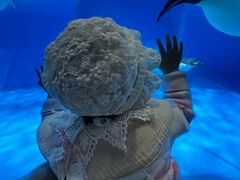 -海合安成都极地海洋公园