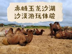 -玉龙沙湖景区